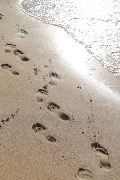 istock High Angle View Of Footprints On Sand At Beach 878055258