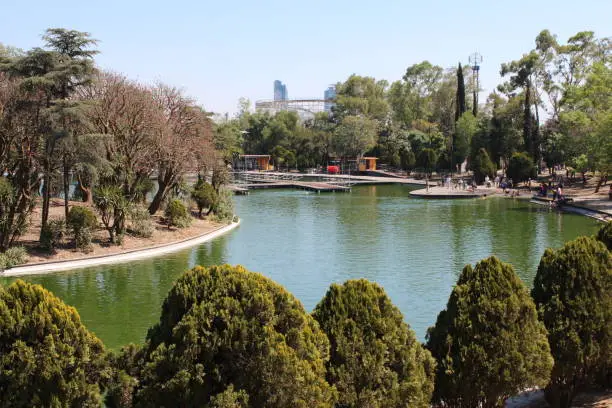 Photographs of the Chapultepec forest.