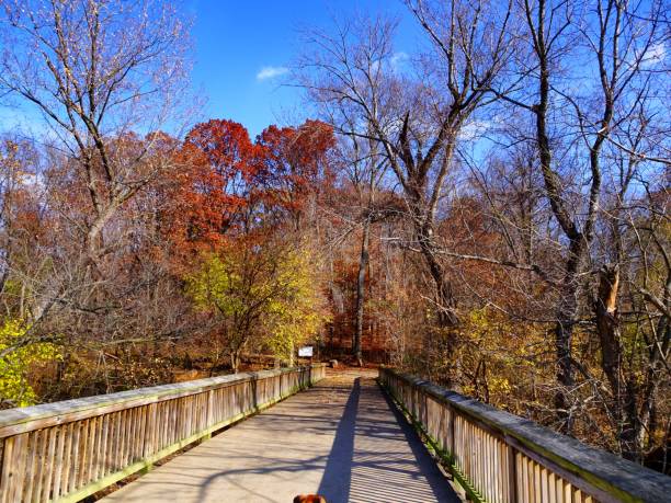 istock wooden bridge in the fall 878067216