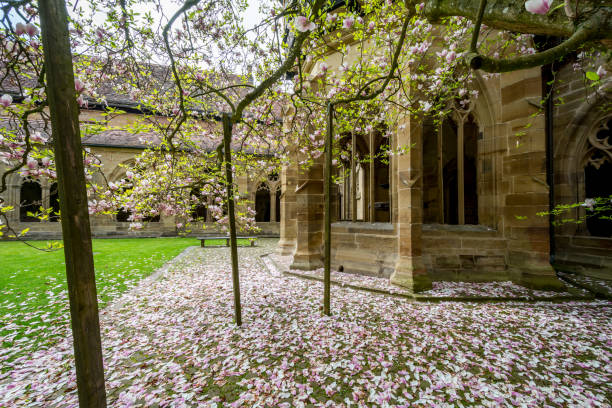 istock Maulbronn, Germany - April 14, 2017: Monestary Maulbronn from inside with  cloister 878087692