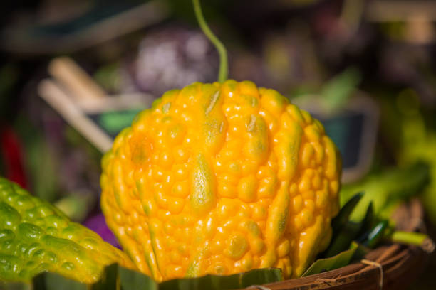 Close-up view yellow Momordica Gourd
