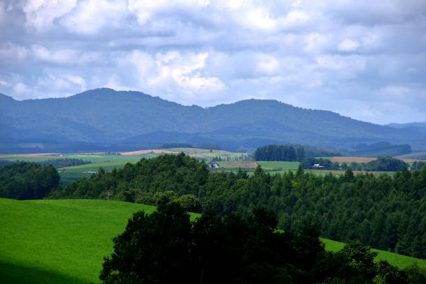 istock Scenery of Biei Hokkaido 878090544