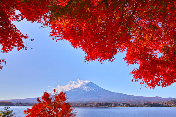 istock Mt. Fuji and autumn leaves 878090596