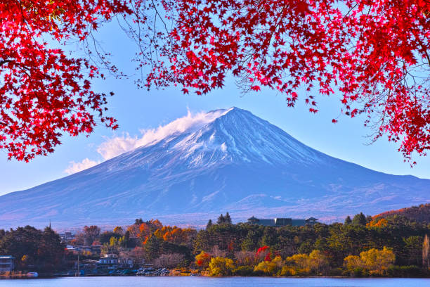 istock Mt. Fuji and autumn leaves 878090732