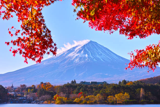 istock Mt. Fuji and autumn leaves 878090782