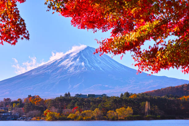 istock Mt. Fuji and autumn leaves 878090800
