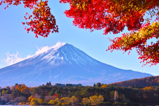 istock Mt. Fuji and autumn leaves 878090830