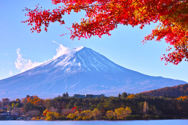 istock Mt. Fuji and autumn leaves 878090866