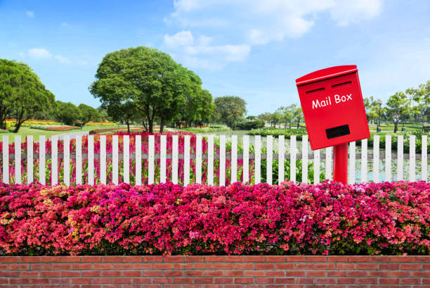 roten briefkasten befindet sich zwischen alten zaun holz und hypochondrischen bougainvillea papierblumen mit öffentlichen park - mailbox mail box side view stock-fotos und bilder