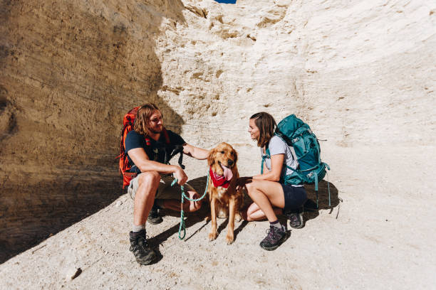 Couple hiking together in the wilderness