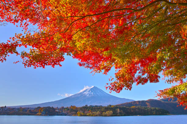 istock Mt. Fuji and autumn leaves 878103840