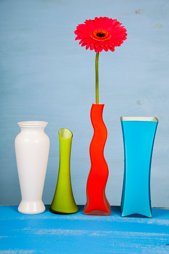 Multicolored vases and pink gerbera on a blue wooden background. Beautiful flower for congratulations and a gift. Still life.