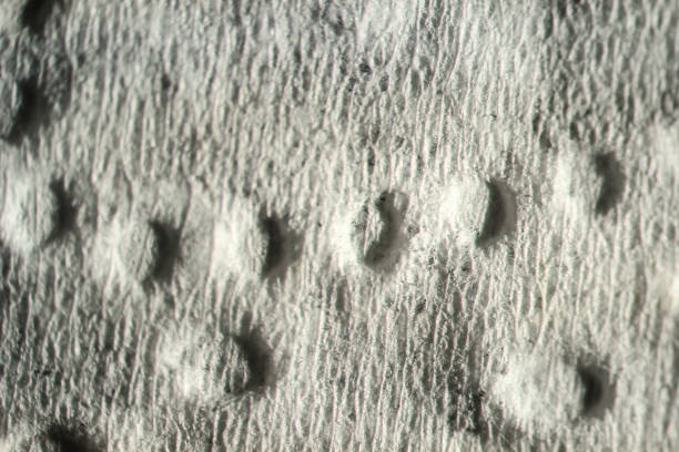istock texture. enlarged with a slit lamp paper tissue for hands 878127624