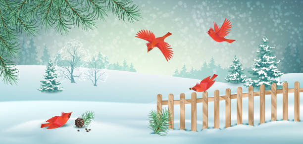 11,000+ Snow Header Stock Photos, Pictures & Royalty-Free Images - iStock | Snowman