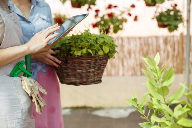 istock Searching for advice for planting 878140864