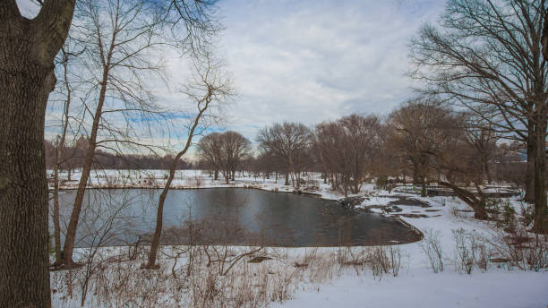 istock New York City Central Park 878143340