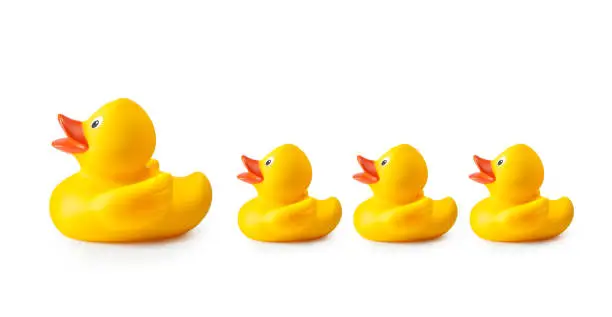 Rubber duck and ducklings on white background.