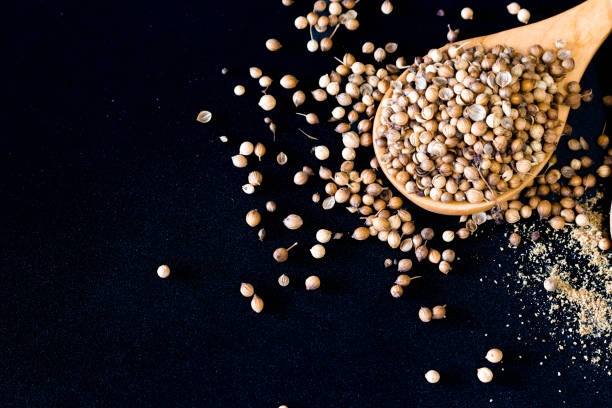 istock coriander seeds and ground coriander on wood spoons with black background 878169536
