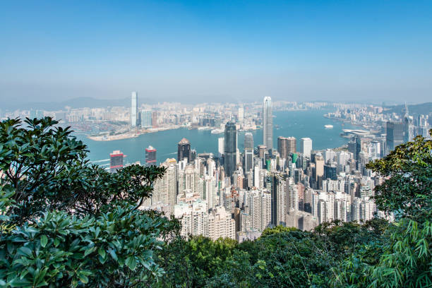istock Hong Kong areal view 878180722