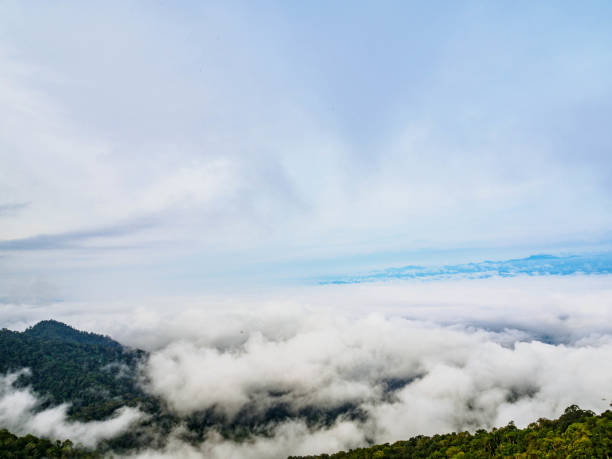 istock Doi Luang National park, Phayao, Thailand 878185506