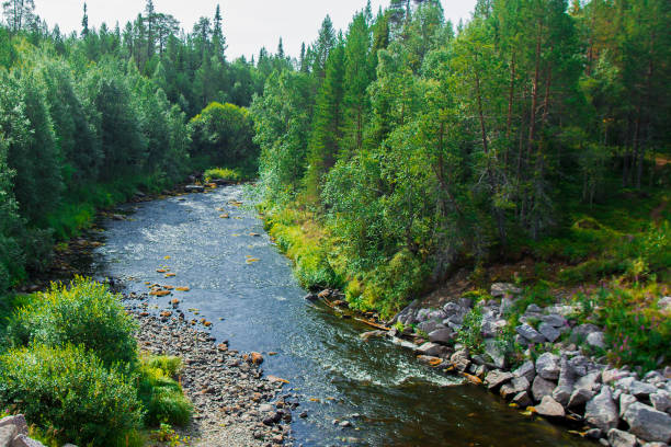 istock The North of Russia 878185732