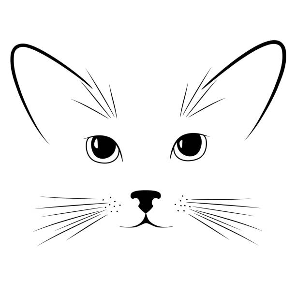ilustraciones, imágenes clip art, dibujos animados e iconos de stock de cara de gato. gatito. animal. orejas. de la nariz. bigote. linda. ilustración de vector de pet. - whisker
