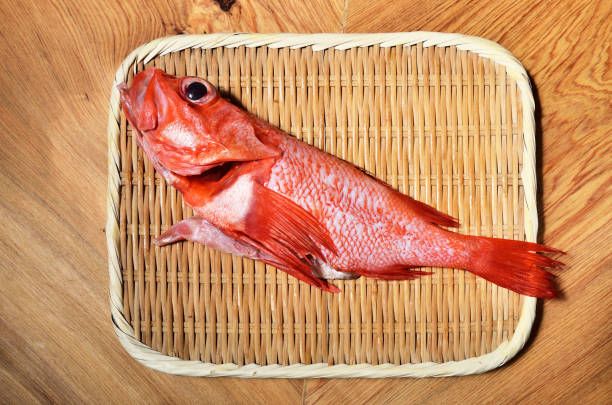 キチジ (広煮付) - rockfish ストックフォトと画像