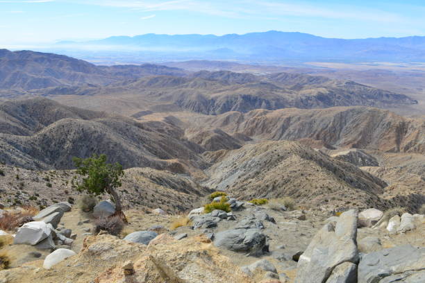 istock Keys view at The Joshua Tree National park 878198804