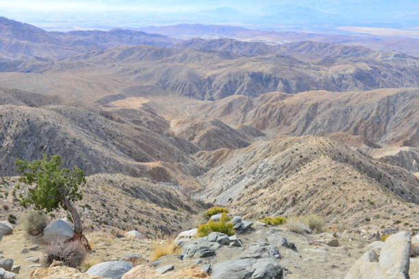 istock Keys view at The Joshua Tree National park 878200270