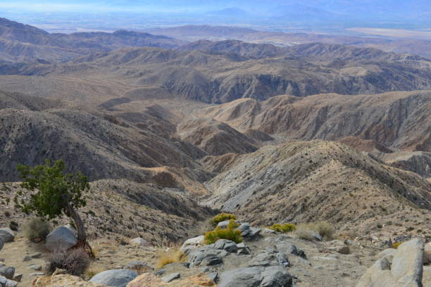 istock Keys view at The Joshua Tree National park 878200866