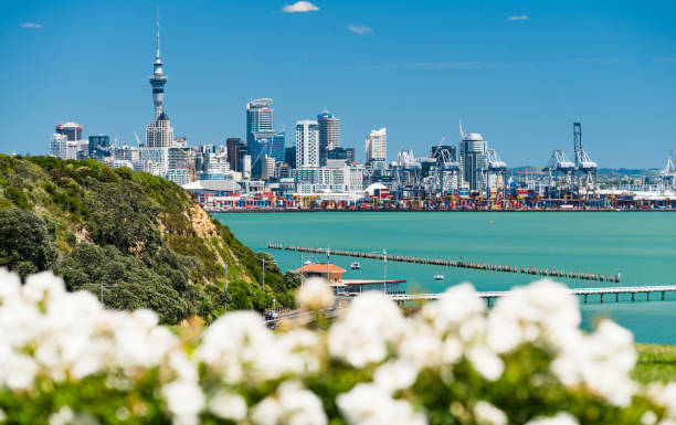 istock Auckland skyline through spring flowers. 878205468