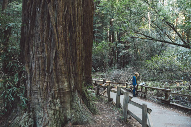 istock Side View Of Woman Standing On Footpath Against Trees At Forest 878205486