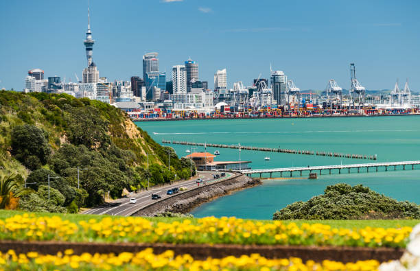 istock Auckland city on a summer day. 878205506