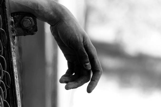 istock Men's arm stretched through the cage 878214002