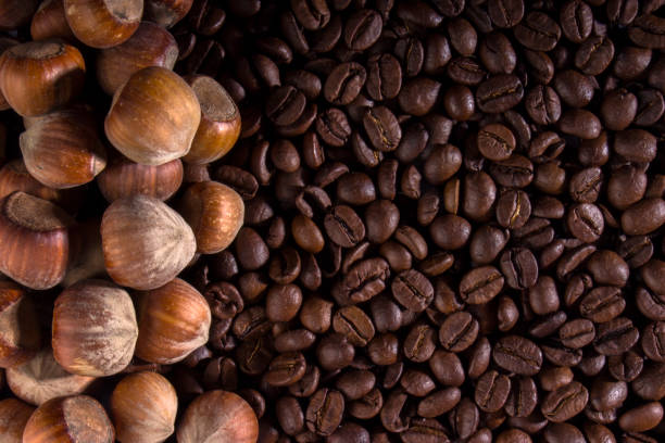 Texture, coffee and hazelnuts, with beautiful glare on the surface Texture, coffee and hazelnuts, with beautiful glare on the surface close up cocoa beach photos stock pictures, royalty-free photos & images
