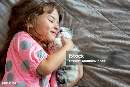 istock Happy girl hugging her Persian kitten. 878222138
