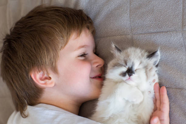 istock Happy boy playing with little kitten. 878222150