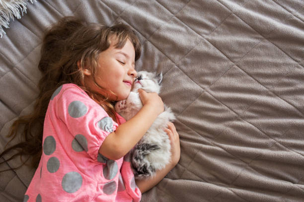 I love you so much! Happy girl is hugging her kitten indoors. mixed breed cat stock pictures, royalty-free photos & images