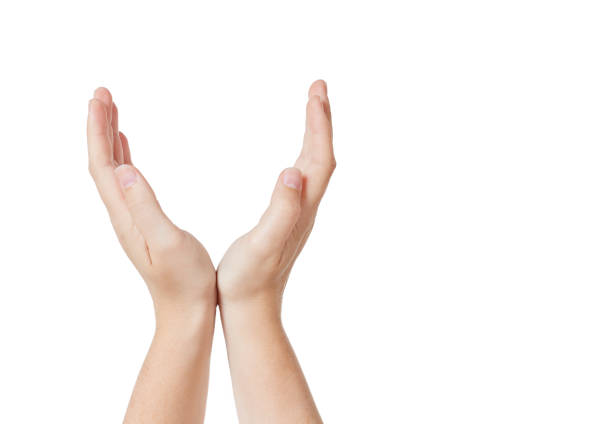 istock Raised hands are cupped together to hold something. 878222400