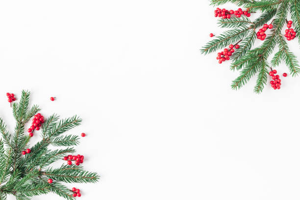 istock Christmas fir tree branches, red berries. Flat lay, top view 878235964