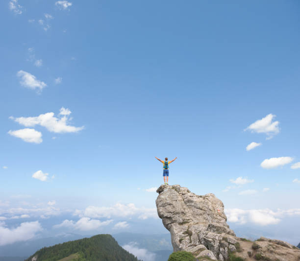 istock Anonymous man on top of the mountain 878238254