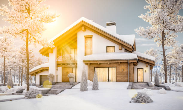 istock 3d rendering of modern cozy house in chalet style 878270098