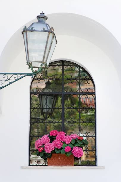 Fuchsia hydrangea, a street lamp and arch window in Positano, Amalfi Coast, Italy