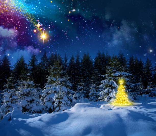 Christmas tree and stars sky Winter landscape with snow covered fir trees and stars. Christmas background.Christmas star and abstract sky. schmuckkörbchen stock pictures, royalty-free photos & images