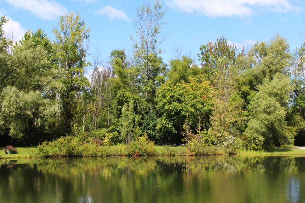 istock Early autumn colors reflecting on the pond 878331948