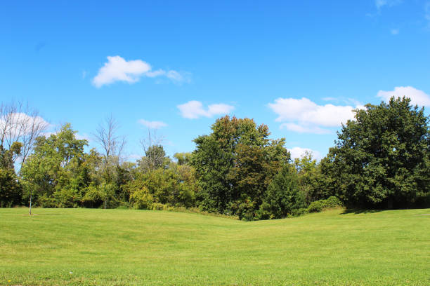 istock Trees hills and blue skies 878332088