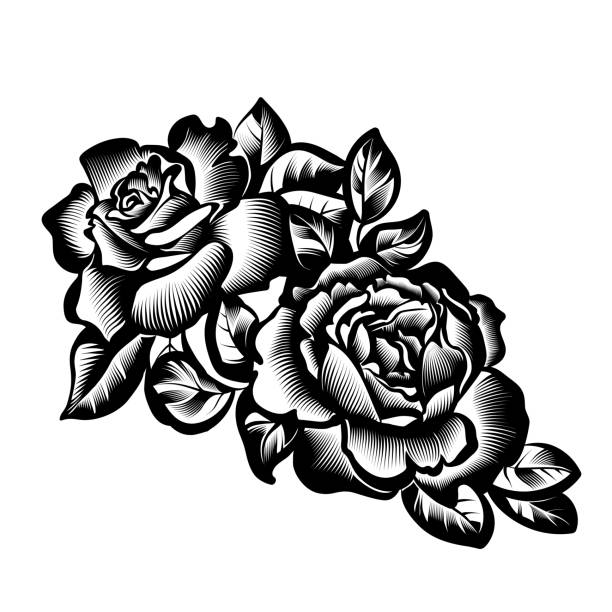 vintage flowers roses vector vintage black and white branch of roses in the style of engraving black and white rose stock illustrations