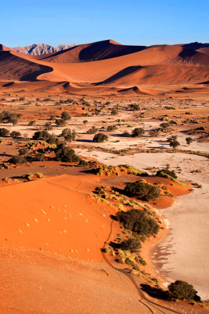 istock Sand Dunes - Sossusvlie - Namib Desert - Namibia 878339686