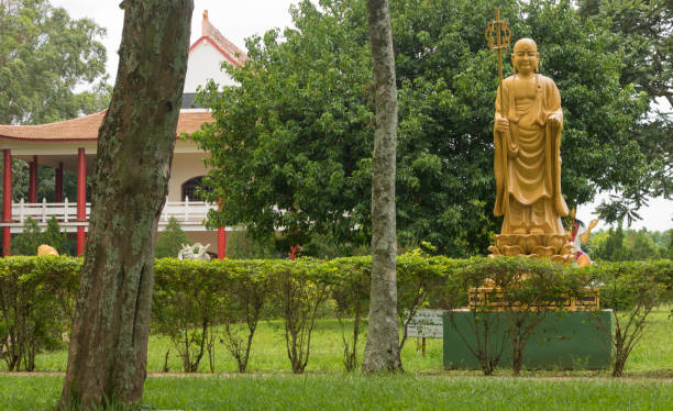 istock Several Buddha statues in a Buddhist temple complex in Foz do Iguazu, Brazil 878347396
