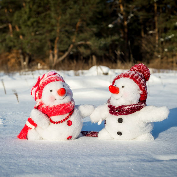 Couple of snowmen stock photo